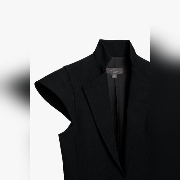 NWT ZARA WOOL SHOULDER PADβDRESS X STEFANO PILATI & Giselle Bundchen - Picture 4 of 5